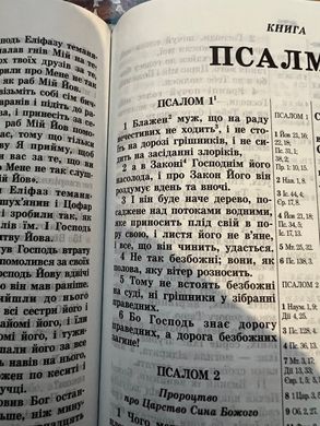 Библия (на украинском языке), 851054
